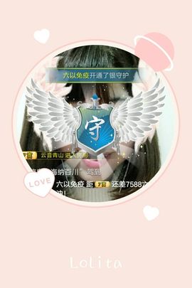 一只雁~主播照片