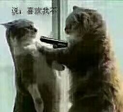 爱你😇🐮開伈🌷的主播照片