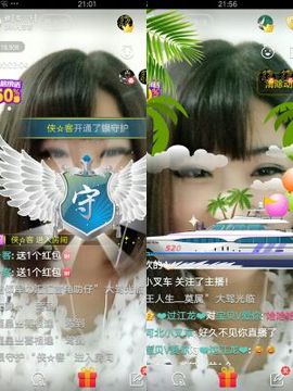 一只雁~主播照片