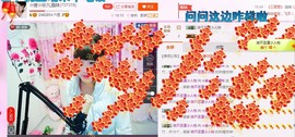 ☆缘☆酒妹主播照片