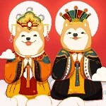 我要看直播7