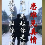 乌鸡中的战斗鸡