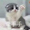 殇璃5j