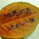 冷月3w