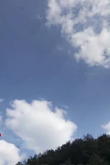 ★★★确定！的主播照片
