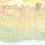 开心哥哥558