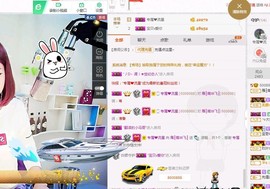 一只雁~主播照片