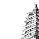 鸟振翅海报