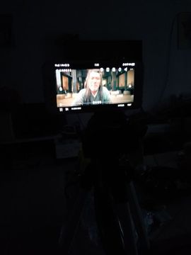 鱼七秒不会飞的鱼主播照片