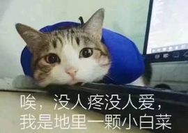 等悠归来主播照片