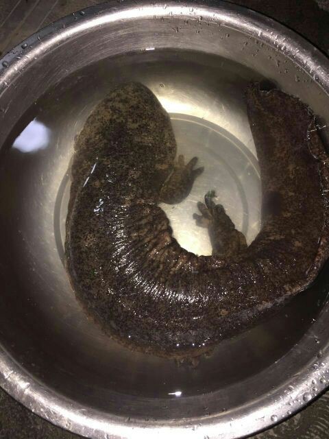 ?帥氣??開心果的主播照片