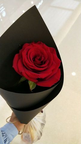 杨妹小可爱主播照片