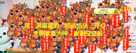 菲菲又停播了主播照片