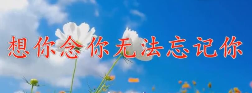 ★★★确定！的主播照片