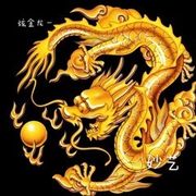 龙🏆少