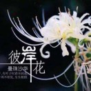 是谁钦了城