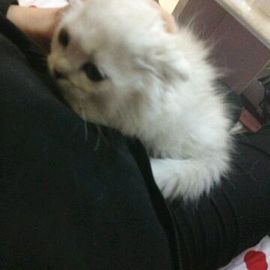 小伍964主播照片