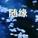 ≮随缘≯0