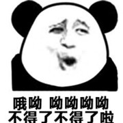 🍀️社会猫🍀️