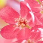 一生🌺为妮💘
