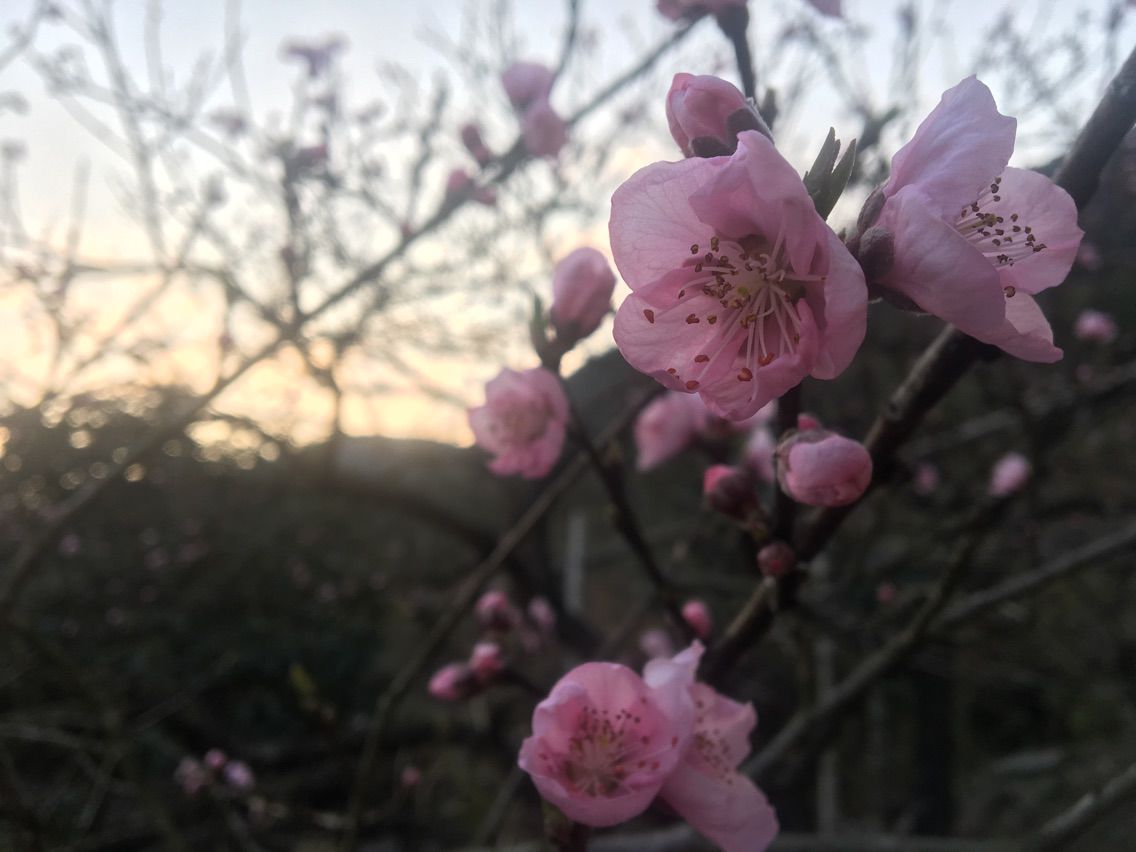 荒野独居的主播照片