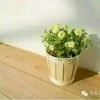 永恒的希望r