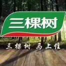 靓之箭(弥勒三棵树漆