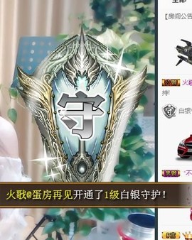 🎵家中有事休主播照片