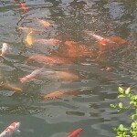 缺人过眼神海报