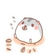 黎治k