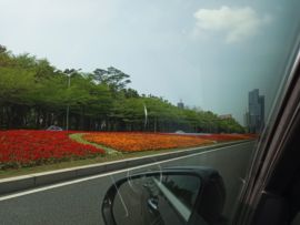 深圳伊士曼涂料主播照片