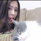 7亲龙猫海报