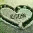 封心锁爱p