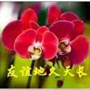 平安是福wkv