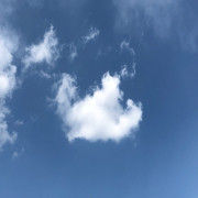 颜倾城520