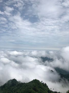 田熙苒主播照片