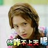 董艺6