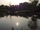 一夜春风cf