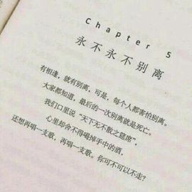 海鸽晚上见主播照片