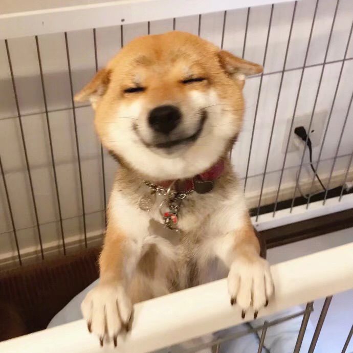 昵称违规，请重新修改的主播照片