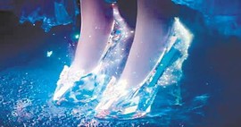 玫瑰花4113025主播照片