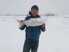 踏碎风雨主播照片