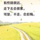 卫cs的头像