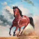 龙马精神tw