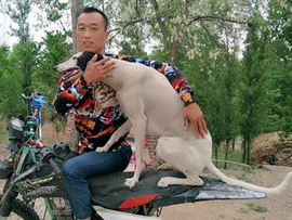 我心依旧2nj主播照片