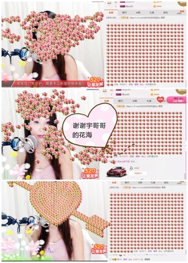 丹丹求守护主播照片