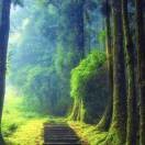 不想闲聊，真诚相伴海报