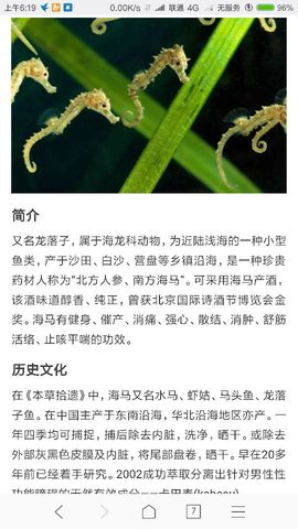 勇⑦气主播照片