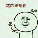 落叶随风kl海报