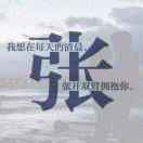 此生无悔h海报